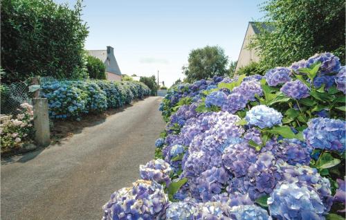 a row of purple hydrangeas lining a road at 3 Bedroom Gorgeous Home In Plouay in Plouay