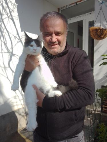 a man is holding a black and white cat at Casa Mocanu in Giurgiu