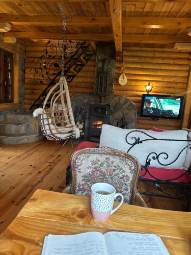 Χώρος καθιστικού στο Brvnara DRINA Wooden House Drina