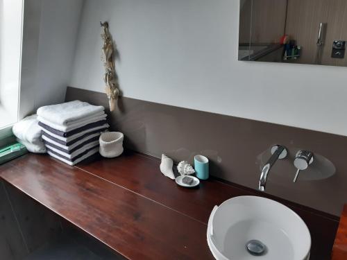 eine Badezimmertheke mit einem Waschbecken und einem Spiegel in der Unterkunft BenB Humblebee in Alkmaar