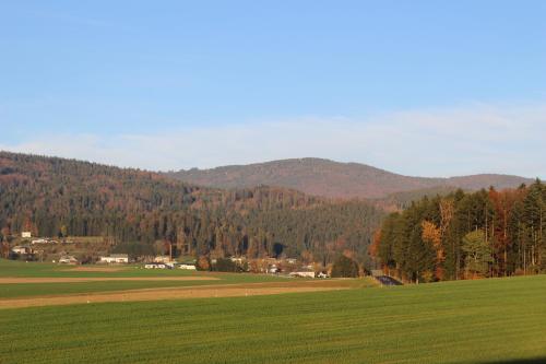 a green field with trees and mountains in the background at Ferienhof Schaubmeier in Klaffer am Hochficht
