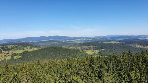 an aerial view of a forest with mountains in the background at Ferienhof Schaubmeier in Klaffer am Hochficht