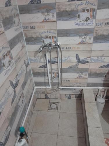 a bathroom with a shower with birds on the wall at Casa Mocanu in Giurgiu