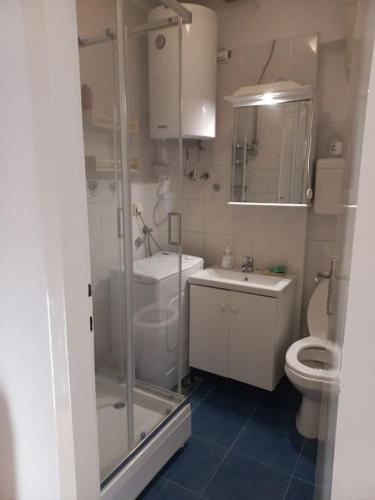 a bathroom with a shower and a toilet and a sink at Cvijićeva in Belgrade