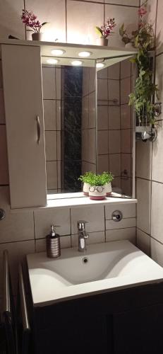 a bathroom sink with two potted plants on a mirror at Angel Room 2 in Nea Plagia