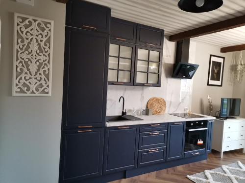 a kitchen with dark blue cabinets and a sink at Apartament Leśny in Zamość