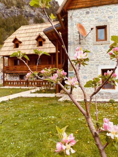 a tree with pink flowers in front of a house at Guesthouse Prrockaj Theth in Theth