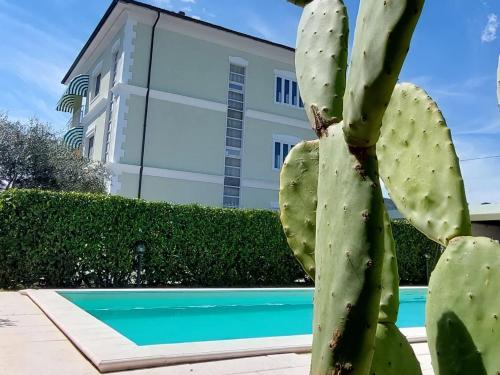 a cactus in front of a building with a swimming pool at Nonna Anita Palace Narni in Narni