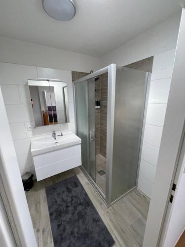 a bathroom with a shower and a sink at TM Apartment in Eibiswald