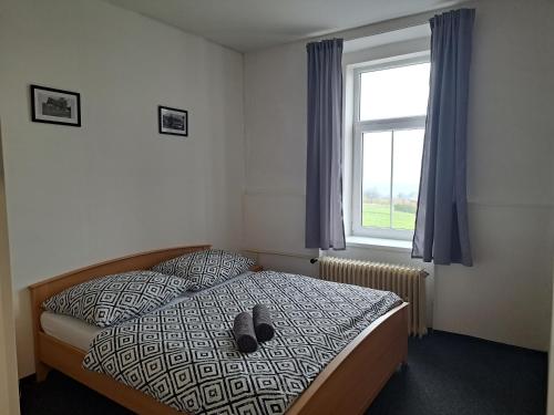 ein Schlafzimmer mit einem Bett mit einem Paar Schuhe darauf in der Unterkunft Pension U Johnů in Petrovice