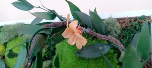 a pink flower on a green plant at Bourbon Horizon in La Possession