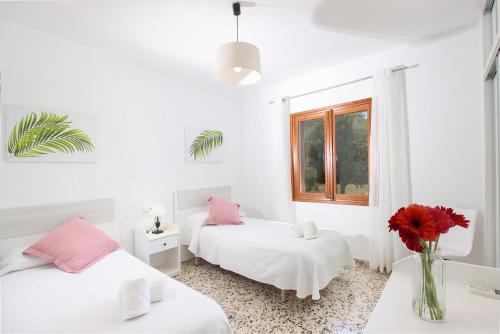 Villa La Vinya Can Oliver - Oliver