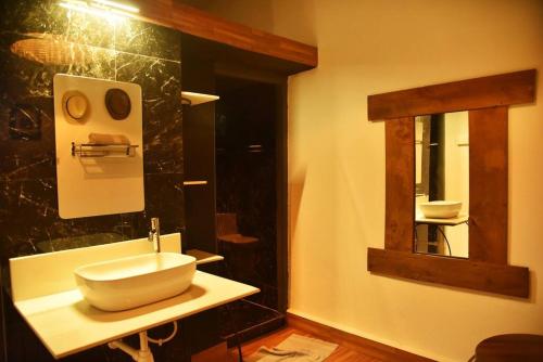 ein Bad mit einem Waschbecken und einem Spiegel in der Unterkunft Villa Pont Bleu in Canacona