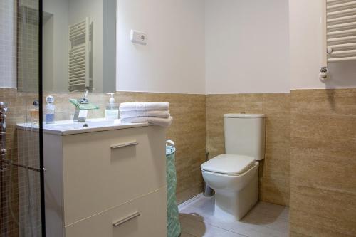 La salle de bains est pourvue de toilettes et d'un lavabo. dans l'établissement Apartamento coqueto en la calle Huertas, à Madrid
