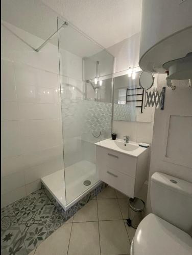 une salle de bain avec une douche, des toilettes et un lavabo dans l'établissement Charmant appartement à quelques mètres de la plage, à La Londe-les-Maures
