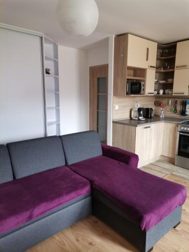Kuchyň nebo kuchyňský kout v ubytování Apartmán Family s výhľadom na Choč