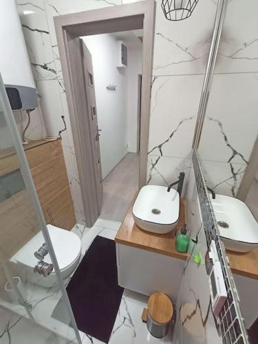 łazienka z toaletą i umywalką w obiekcie Apartament w centrum miasta przy parku i jeziorze w Szczecinku