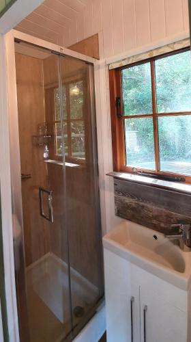 a bathroom with a shower and a sink at Sika hut in Wareham