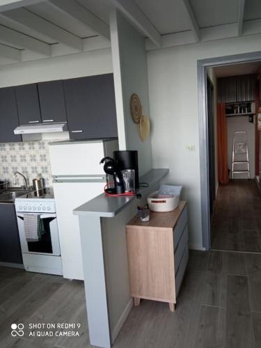 une cuisine avec une cuisinière et un comptoir dans l'établissement Chez Loïc et Mélanie, à Besse-et-Saint-Anastaise