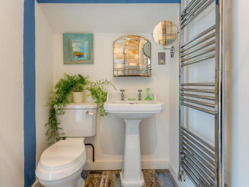 a bathroom with a toilet and a sink at Rose Cottage in Stoke Fleming