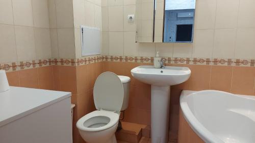 a bathroom with a toilet and a sink at Rent Apartment Pushkin Street in Chişinău