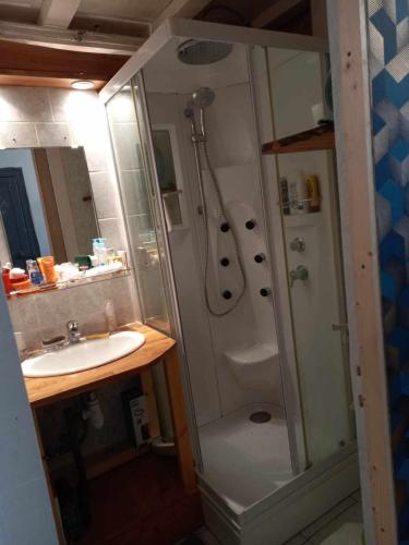 une salle de bain avec douche et lavabo dans l'établissement Appartement rue de la cascade 64440 Eaux-Bonnes, à Eaux-Bonnes
