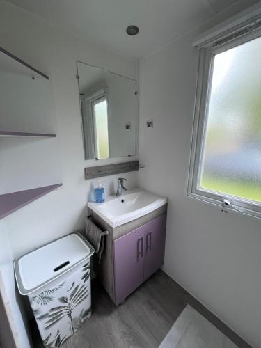 une salle de bain avec un lavabo et un miroir dans l'établissement Camping Marvilla Parks - Rivages des Landes - Mobil home 3 chambres, à Aureilhan
