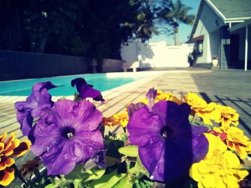 a pile of flowers sitting next to a swimming pool at Buckleigh Guesthouse in Durban