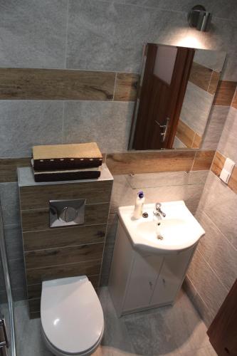 a bathroom with a sink and a toilet and a mirror at Oaza in Turawa