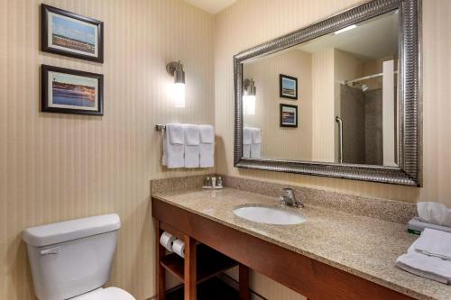 a bathroom with a sink and a toilet and a mirror at Comfort Suites Florence Shoals Area in Florence