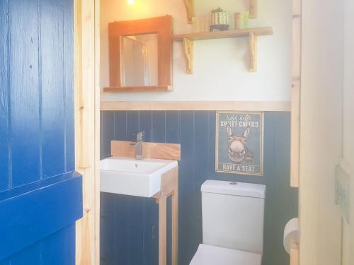 uma pequena casa de banho com WC e lavatório em Fell Foot - Ukc5294 em Bassenthwaite
