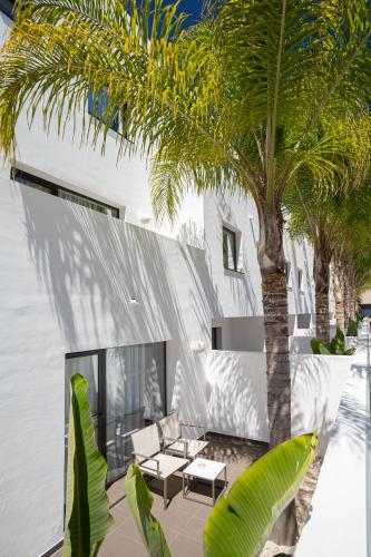 a patio with chairs and a palm tree at Migjorn Ibiza Suites & Spa in Playa d'en Bossa