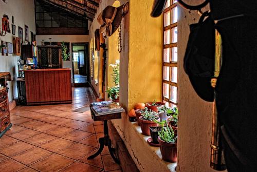 a hallway with potted plants in a house at Hacienda San Isidro Trails & Experiences in Cotacachi