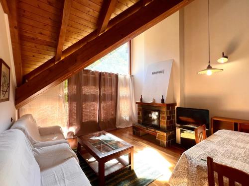 a living room with a couch and a fireplace at Apartament La Noguera in Rialp