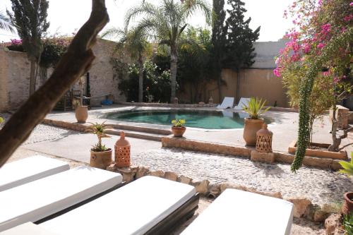 a swimming pool in a backyard with plants at Villa Grenadine in Essaouira