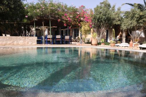une grande piscine d'eau avec des chaises et des arbres dans l'établissement Villa Grenadine, à Essaouira