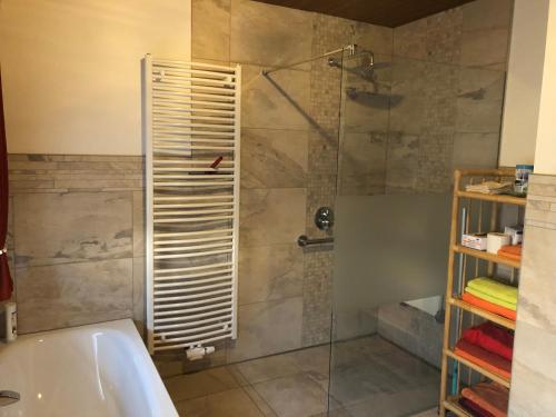 uma casa de banho com um chuveiro e uma porta de vidro em Ferienwohnung Moselblick em Nittel
