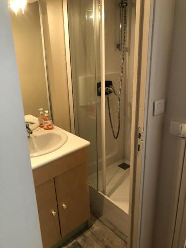 une salle de bain avec une douche et un lavabo et une douche dans l'établissement studio cabine Bagnères de Bigorre, à Bagnères-de-Bigorre