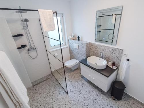 a bathroom with a shower and a sink and a toilet at TEILOR Apartments 3 in Floreşti