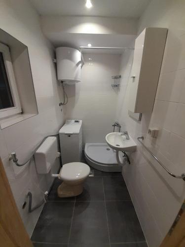 a small bathroom with a toilet and a sink at Skyline apartment in Čapljina