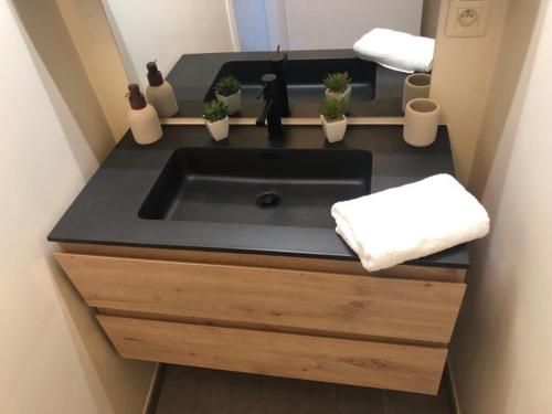 La salle de bains est pourvue d'un lavabo avec des plantes en pot. dans l'établissement L'Escapade Urbaine - Montignies-sur-Sambre, à Charleroi