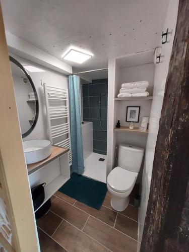 e bagno con servizi igienici, lavandino e doccia. di Les Pierres de Cézaire a Saint-Cézaire-sur-Siagne