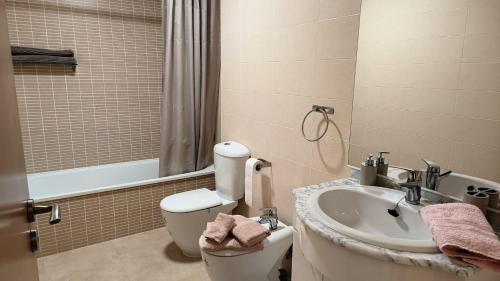 een badkamer met een wastafel, een toilet en een douche bij APARTAMENTO EN ELS MUNTELLS in Els Muntells