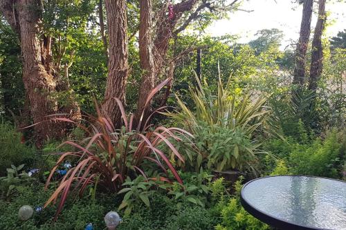 Birch的住宿－Lauriston Stay，一个带桌子和一些植物的花园