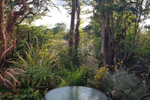 uma mesa de vidro num jardim com plantas e árvores em Lauriston Stay em Birch