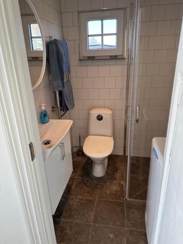 a bathroom with a toilet and a sink and a shower at Sjöstugor med SPA i Höllviken in Höllviken