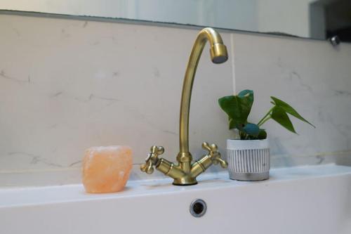 einem Waschbecken mit einem Wasserhahn und einer Pflanze auf einer Theke in der Unterkunft RIVA BELLA villa plage in Bandol