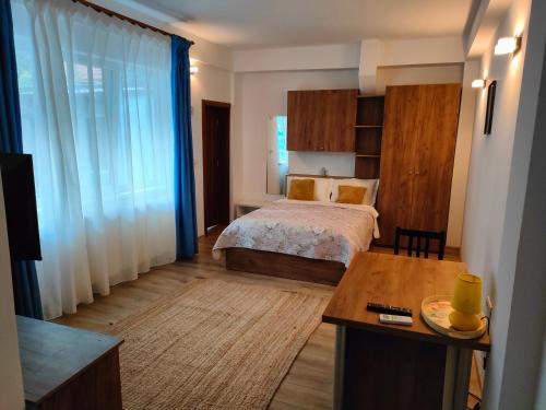 a bedroom with a bed and a table in a room at iVAVev Is Us byTheSea Constanta in Constanţa
