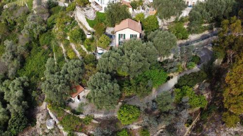 una vista aérea de una casa en una colina con árboles en U Ciousu by Ligurian Life APPARTAMENTI IN AGRITURISMO, en Vallebona