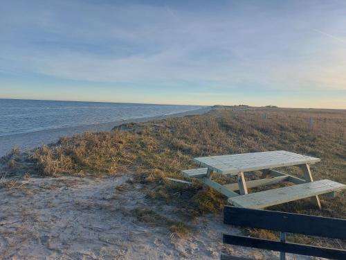 a picnic table sitting on the beach near the water at KRAGKAER Deer-Lodge B&B & Guest House - Unique Holiday Homes in Sæby